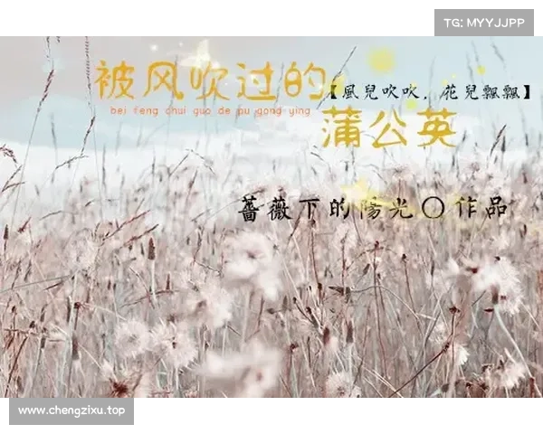 逐风而翔:蒲公英攻略指南